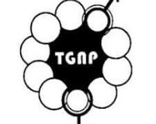 4 New Job Opportunities At TGNP Mtandao – Various Posts July 2021