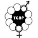 4 New Job Opportunities At TGNP Mtandao – Various Posts July 2021