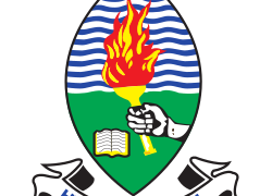 Scholarship: UDSM-Equinor Scholarships for MSc Petroleum Engineering