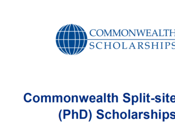 Commonwealth Split-site Scholarships 2022 in UK (Fully Funded)