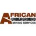 JOB OPPORTUNITY AT AFRICA UNDERGROUND MINING SERVICES(AUMS)