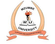 JOB OPPORTUNITY AT MZUMBE UNIVERSITY