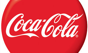 COLD DRINKS EQUIPMENT (CDE) TEAM LEADER  AT COCA COLA TANZANIA