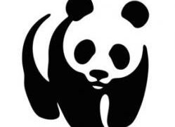 JOB OPPORTUNITY AT World Wide Fund for Nature(WWF) ; CONSERVATION MANAGER