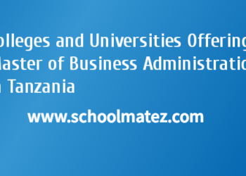 Colleges and Universities Offering Master of Business Administration in Tanzania