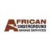 JOB OPPORTUNITY At African Underground Mining Services (AUMS)