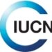 NEW JOB OPPORTUNITY AT International Union for Conservation of Nature (IUCN)