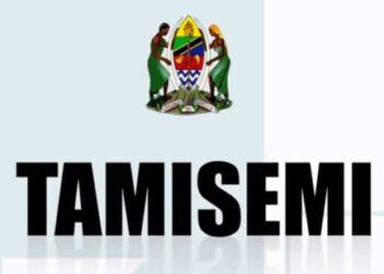 TAMISEMI: Has extended 4 days for Education and Health Applicants