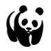 Job Opportunities at World Wide Fund For Nature(WWF)
