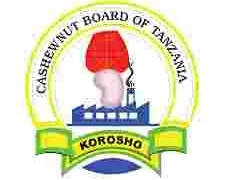 20 New Government Job Vacancies at Cashewnut Board of Tanzania (CBT) October, 2023