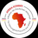 AFRIKA KOMMT Fellowship Program for Young Professionals [Fully-funded]
