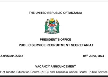 UTUMISHI: Job Opportunities at Utumishi Tanzania June 2024